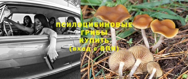MDMA Беломорск