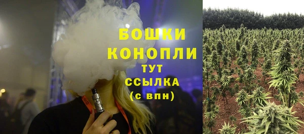 эйфоретик Строитель