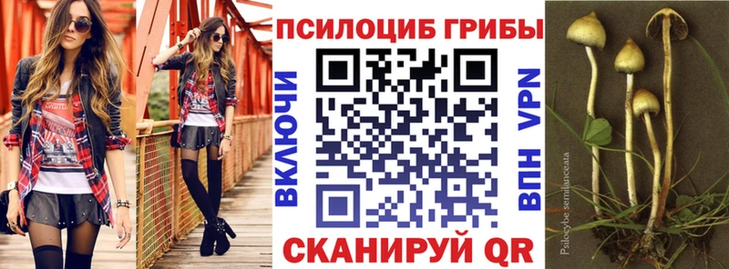 Псилоцибиновые грибы Magic Shrooms  где купить наркоту  Краснотурьинск 